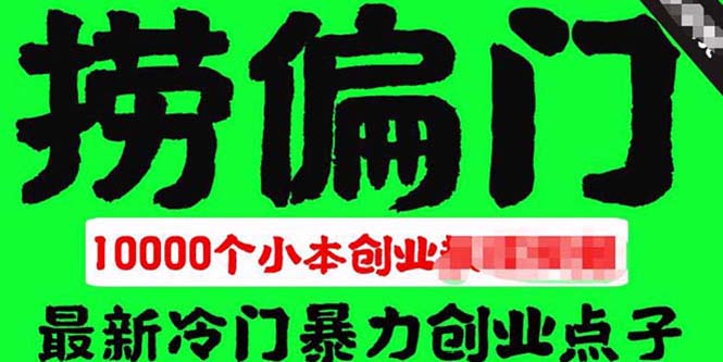（5750期）千款捞偏门小本创业小项目，总有一款适合你【无水印】-副业库