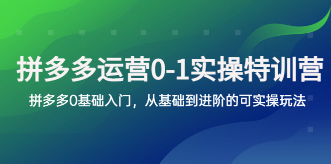 （5747期）拼多多-运营0-1实操训练营，拼多多0基础入门，从基础到进阶的可实操玩法-副业库
