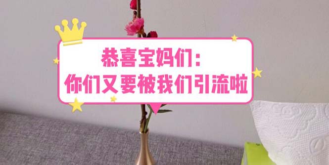 （5891期）恭喜宝妈们：你们又要被我们引流了（教程+222g资料）-副业库
