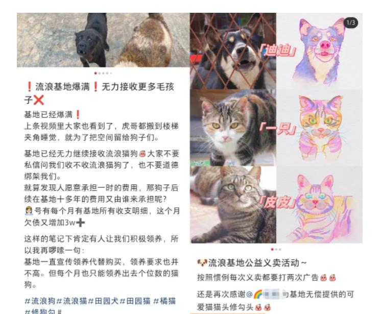 图片[2]-（5867期）小红书蓝海类赛道：小动物打赏与购买变现副业项目，一条龙玩法分享给你！-副业库