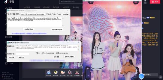图片[2]-（5907期）最新电脑版抖音/快手/B站直播源获取+直播间实时录制+直播转播【软件+教程】-副业库