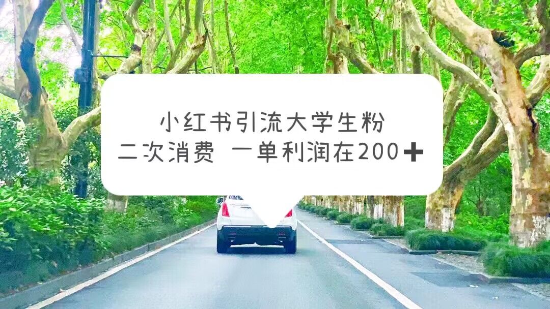 （5914期）小红书引流大学生粉，变现项目，一单利润在200+（教程+资源）-副业库