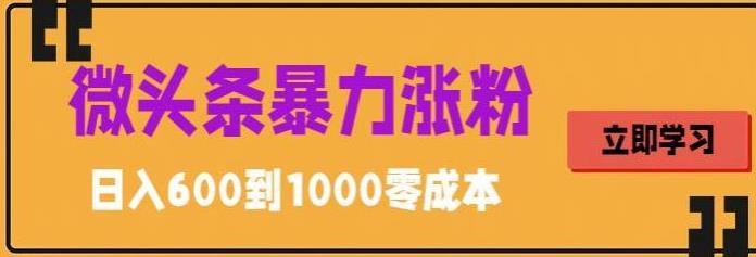 （5950期）微头条暴力涨粉技巧搬运文案就能涨几万粉丝，简单0成本，日赚600-副业库