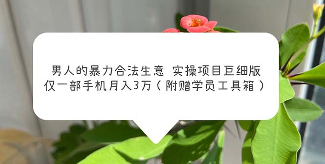 （5962期）男人的暴力合法生意实操项目巨细版：仅一部手机月入3w（附赠学员工具箱）-副业库