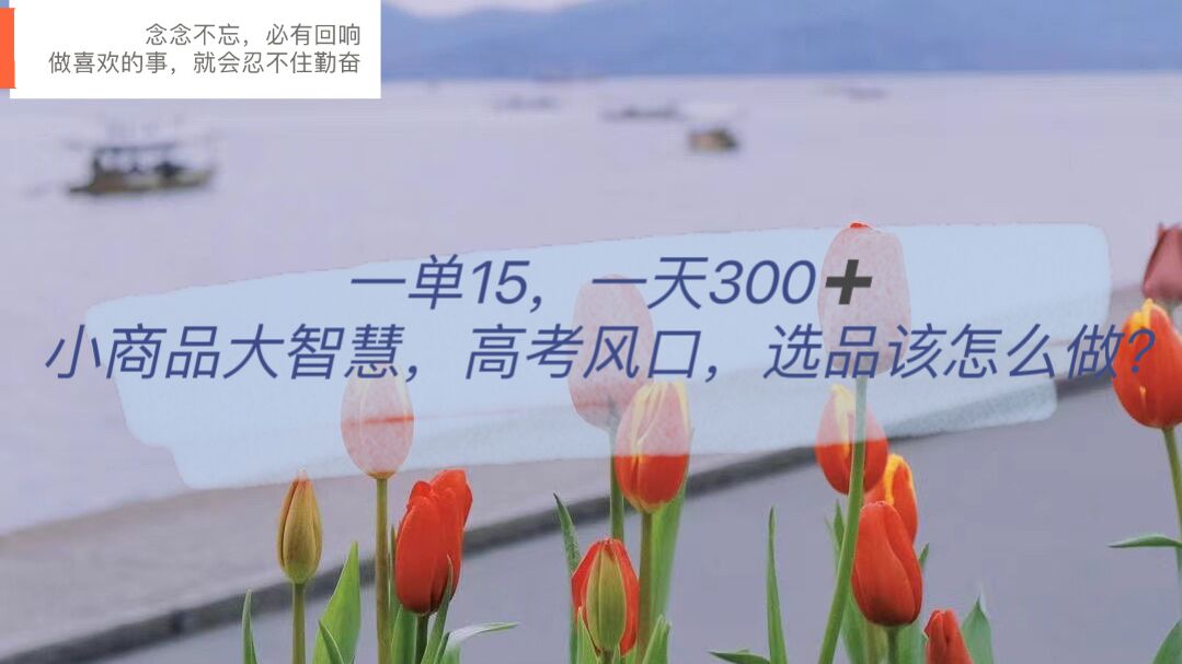 （6077期）一单15，一天300+，小商品大智慧，高考风口，选品该怎么布局-副业库