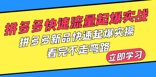 （6253期）拼多多-快速流量起爆实战，拼多多新品快速起爆实操，看完不走弯路-副业库