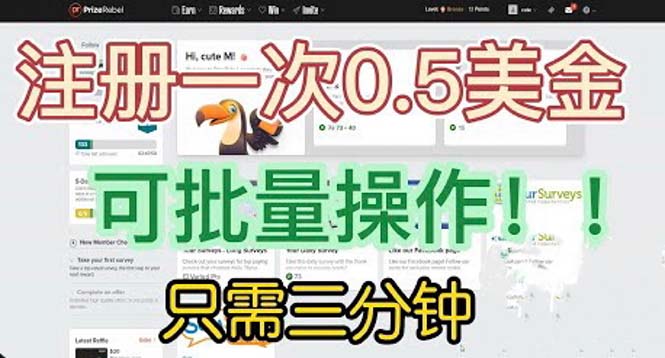 （6285期）国外项目注册一次0.5美金 只需三分钟无脑操作 可批量放大 小白工作室福利-副业库