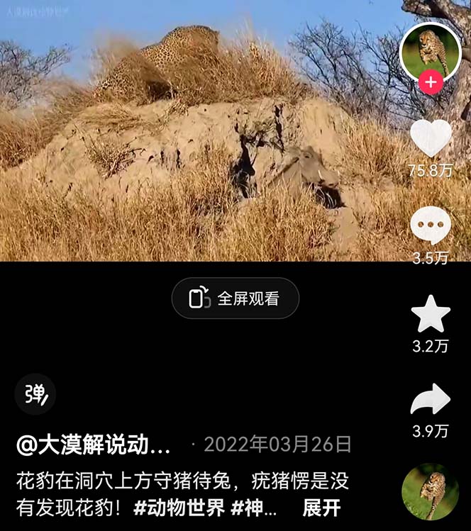 图片[2]-（6312期）外面卖1699的国外纪录片解说（动物解说、美食、动画片）稳过中视频-副业库