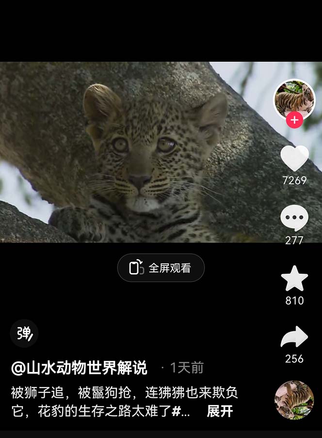 图片[3]-（6312期）外面卖1699的国外纪录片解说（动物解说、美食、动画片）稳过中视频-副业库