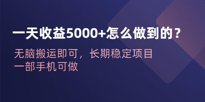 （6435期）一天收益5000+怎么做到的？无脑搬运即可，长期稳定项目，一部手机可做-副业库