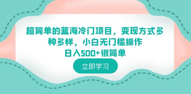（6422期）超简单的蓝海冷门项目，变现方式多种多样，小白无门槛操作日入500+很简单-副业库