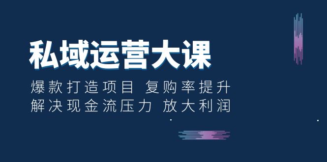 （6456期）私域运营大课：爆款打造项目 复购率提升 解决现金流压力 放大利润-副业库