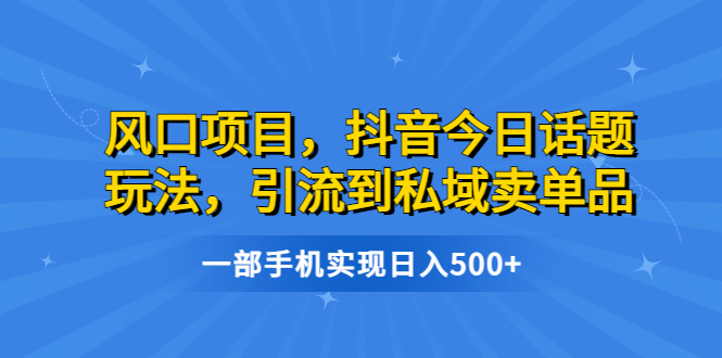（6588期）风口项目，抖音今日话题玩法，引流到私域卖单品，一部手机实现日入500+-副业库