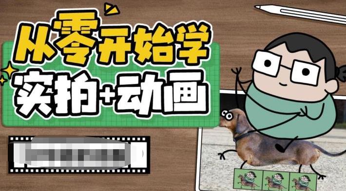 （6570期）从零开始学实拍加动画，实拍加动画创意教程（49节视频课）-副业库