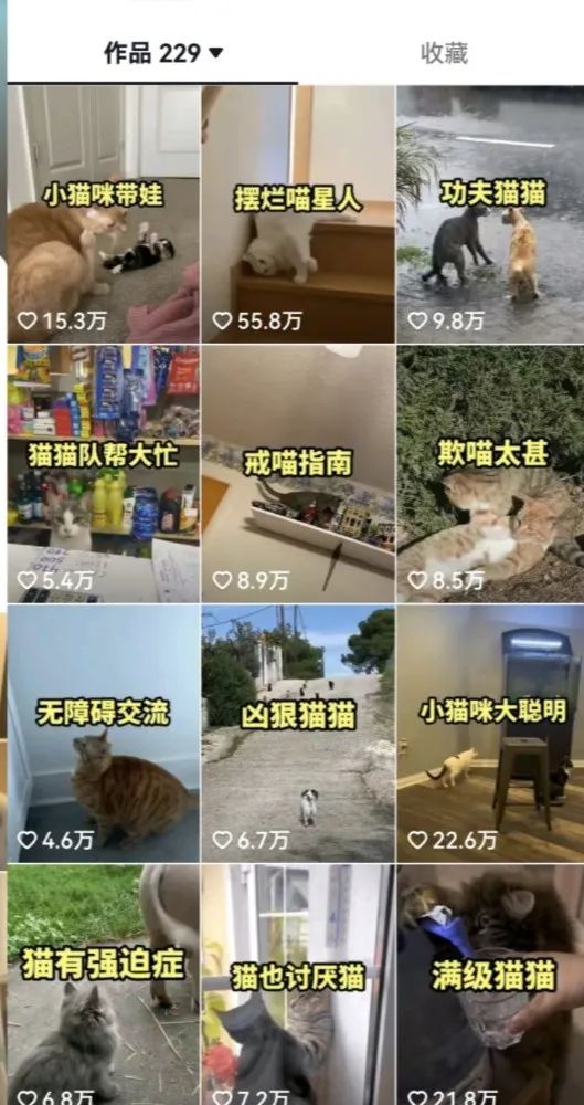 图片[3]-（6568期）拆解：抖音盘点类中视频变现副业项目，视频版一条龙大解析分享给你-副业库