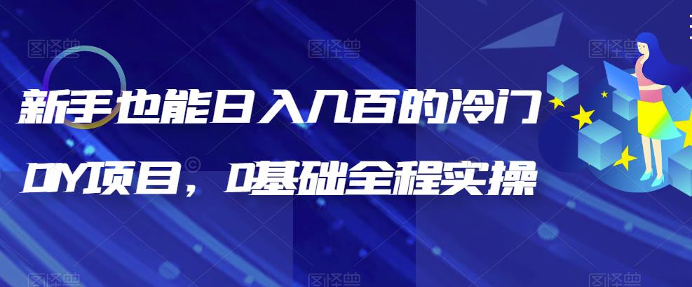 （6630期）新手也能日入几百的冷门DIY项目，0基础全程实操【揭秘】-副业库