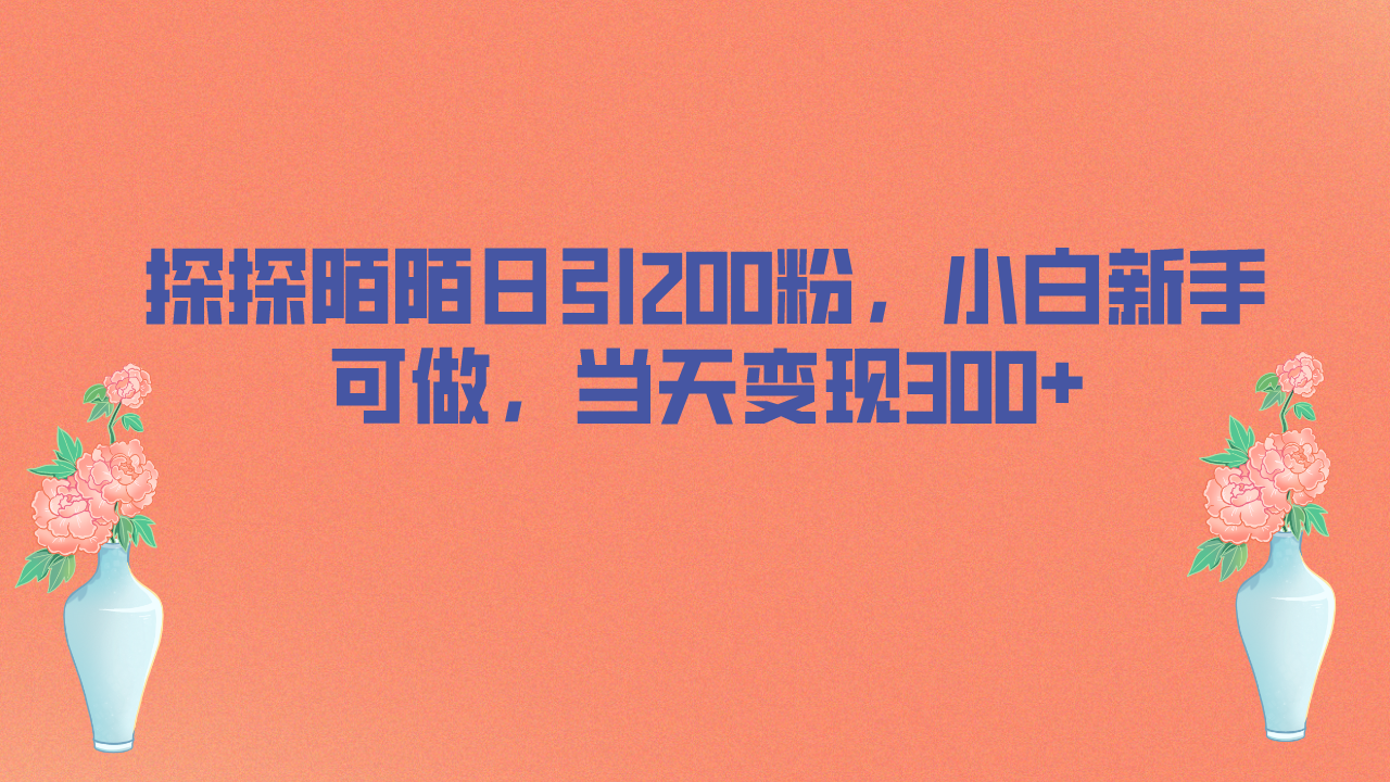 （6817期）探探陌陌日引200粉，小白新手可做，当天就能变现300+-副业库