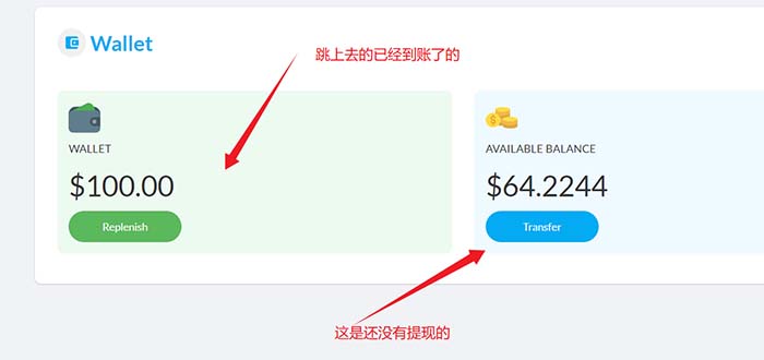图片[2]-（6906期）外面收费几千上万的visionstube愿景管撸美金项目，单日30-50美金+可批量-副业库