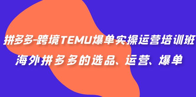 （6934期）拼多多-跨境TEMU爆单实操运营培训班，海外拼多多的选品、运营、爆单-副业库