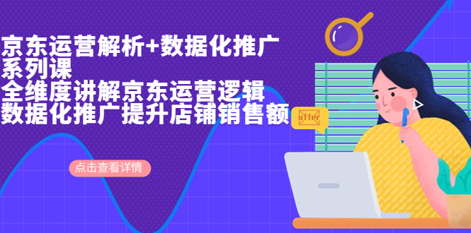 （6931期）京东运营解析与数据化推广系列课，全维度讲解京东运营逻辑+数据化推广提…-副业库