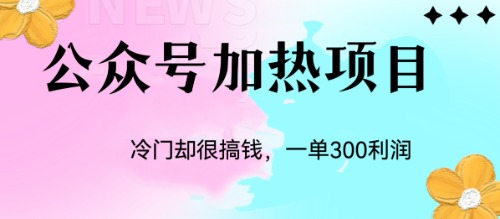 （6916期）冷门公众号加热项目，一单利润300+-副业库