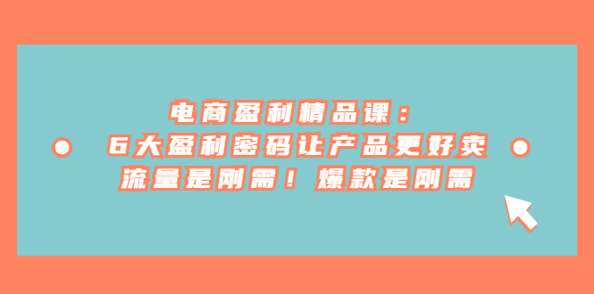 （6954期）电商 盈利精品课：6大盈利 密码让产品更好卖，流量是刚需！爆款是刚需-副业库