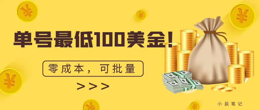 （6975期）单号最低100美金，零成本，小白无脑操作。可复制，可扩大。-副业库