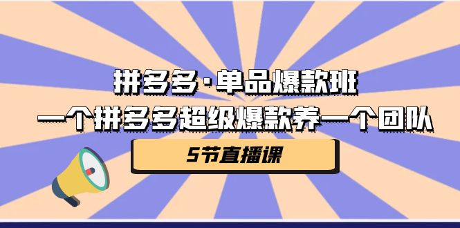 （7019期）拼多多·单品爆款班，一个拼多多超级爆款养一个团队（5节直播课）-副业库