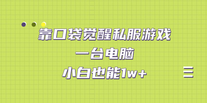 （7113期）靠口袋觉醒私服游戏，一台电脑，小白也能1w+（教程+工具+资料）-副业库