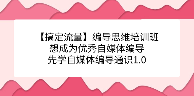 （7281期）【搞定流量】编导思维培训班，想成为优秀自媒体编导先学自媒体编导通识1.0-副业库