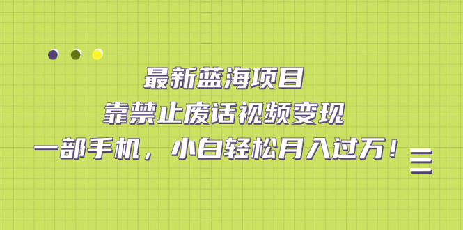 （7276期）最新蓝海项目，靠禁止废话视频变现，一部手机，小白轻松月入过万！-副业库