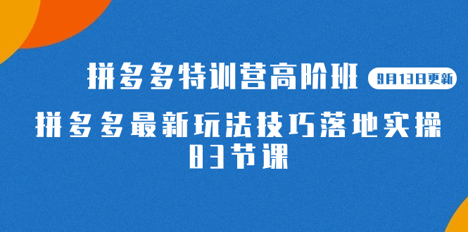 （7295期）2023拼多多·特训营高阶班【9月13日更新】拼多多最新玩法技巧落地实操-83节-副业库