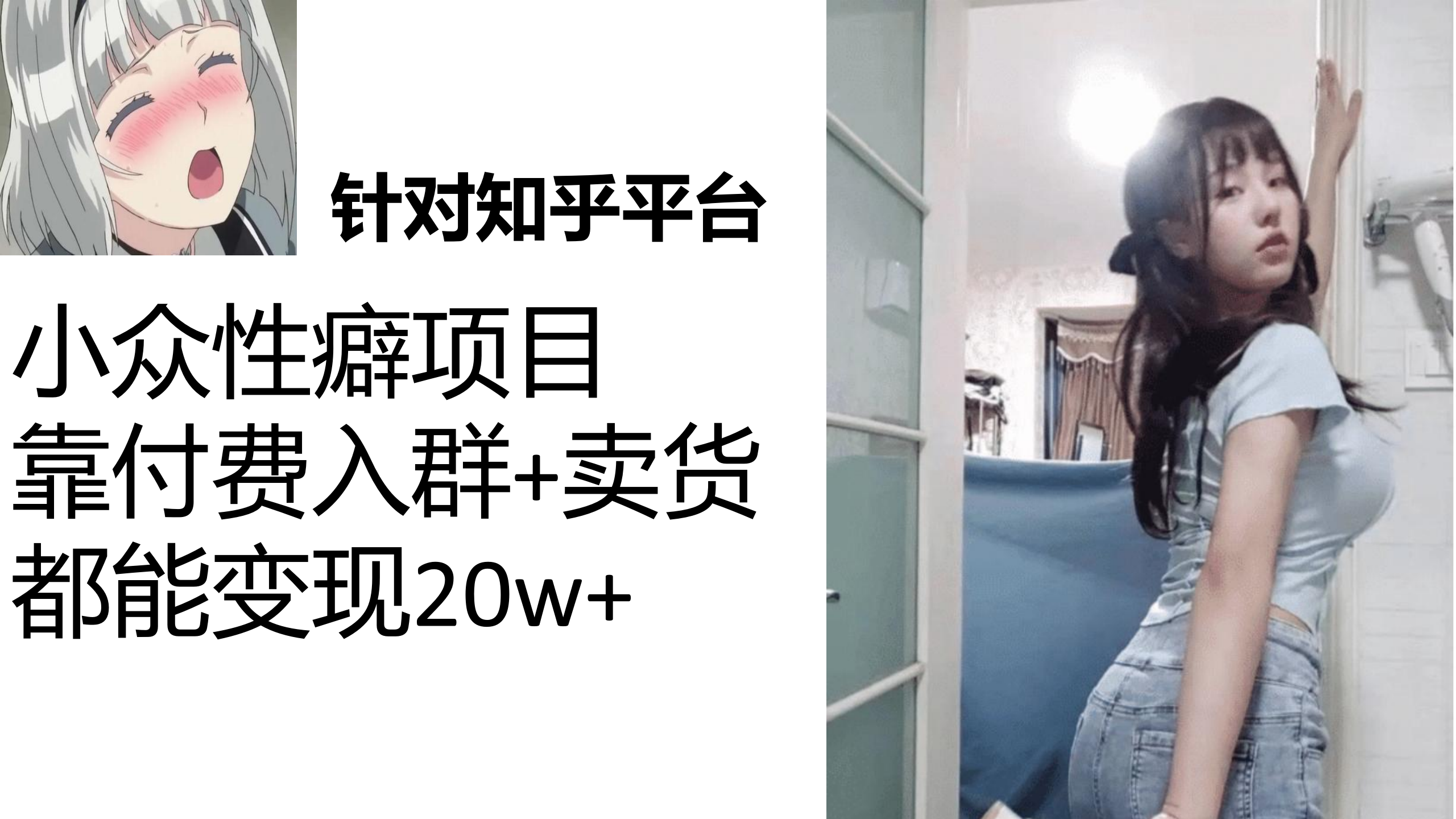 （7291期）知乎小众性癖项目，Lsp的钱才是最好赚的，付费建群+卖货变现20w-副业库