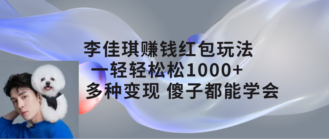 （7383期）李佳琪赚钱红包玩法，一天轻轻松松1000+，多种变现，傻子都能学会-副业库