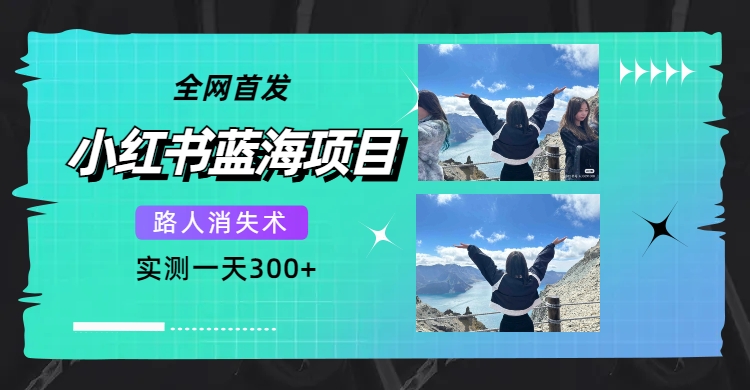 （7537期）全网首发，小红书蓝海项目，路人消失术，实测一天300+（教程+工具）-副业库