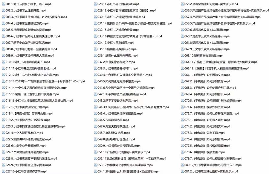 图片[4]-（7937期）新个体·搞钱-小红书训练营：实战落地运营方法，抓住搞钱方向，每月多搞2w+-副业库