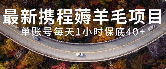 （7995期）最新携程薅羊毛项目，单账号每天1小时保底收益40+，可矩阵操作-副业库