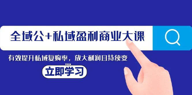 （8045期）全域公+私域盈利商业大课，有效提升私域复购率，放大利润且持续变现-副业库