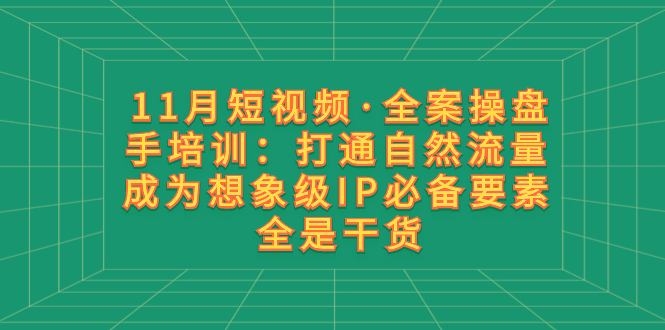 （8182期）11月短视频·全案操盘手培训：打通自然流量 成为想象级IP必备要素 全是干货-副业库