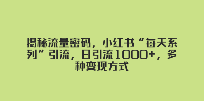 （8179期）揭秘流量密码，小红书“每天系列”引流，日引流1000+，多种变现方式-副业库