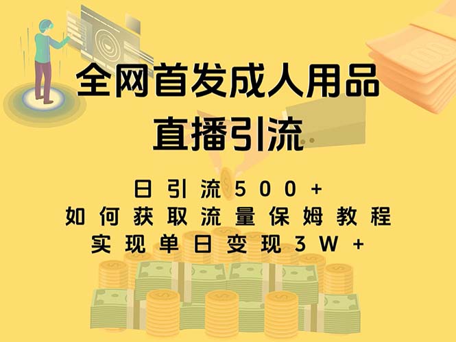 （8193期）最新全网独创首发，成人用品直播引流获客暴力玩法，单日变现3w保姆级教程-副业库