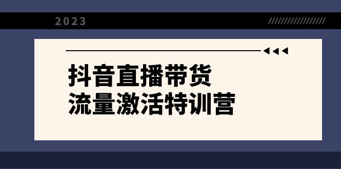 （8185期）抖音直播带货-流量激活特训营，入行新手小白主播必学（21节课+资料）-副业库