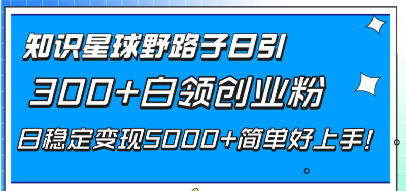 （8315期）知识星球野路子日引300+白领创业粉，日稳定变现5000+简单好上手！-副业库
