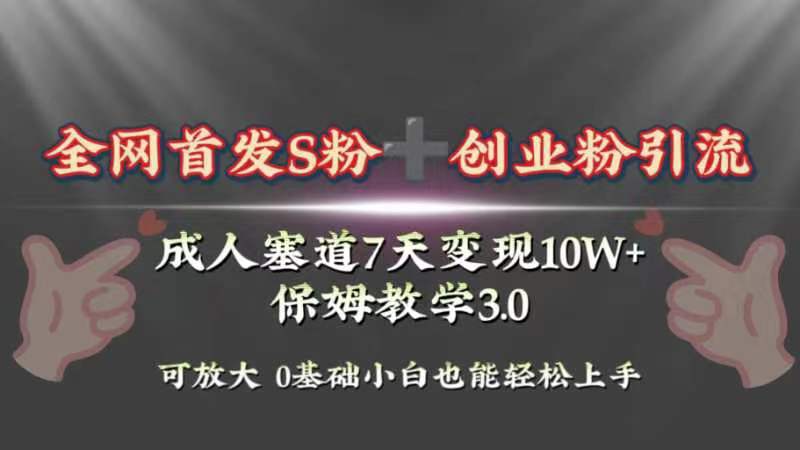 （8337期）全网首发s粉加创业粉引流变现，成人用品赛道7天变现10w+保姆教学3.0-副业库
