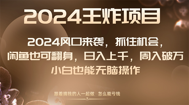 （8401期）2024风口项目来袭，抓住机会，闲鱼也可翻身，日入上千，周入破万，小白…-副业库