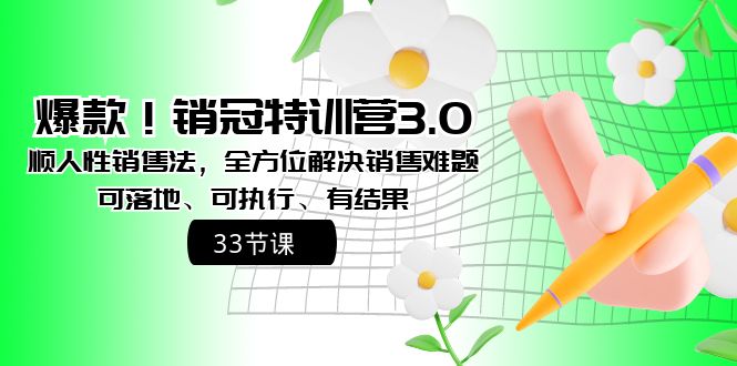 （8573期）爆款！销冠特训营3.0之顺人性销售法，全方位解决销售难题、可落地、可执…-副业库