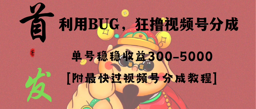 （8549期）全网独家首发，视频号BUG，超短期项目，单号每日净收益300-5000！-副业库