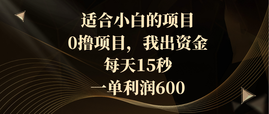 （8571期）适合小白的项目，0撸项目，我出资金，每天15秒，一单利润600-副业库