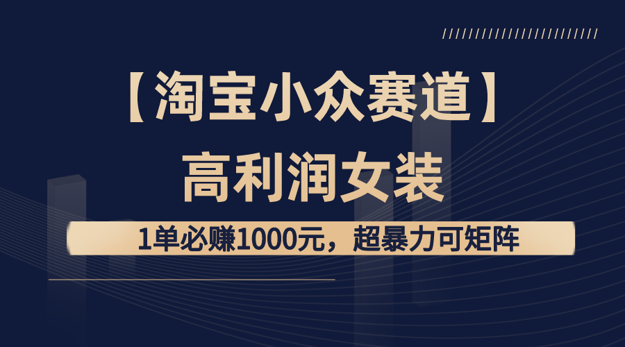 （8608期）【淘宝小众赛道】高利润女装：1单必赚1000元，超暴力可矩阵-副业库