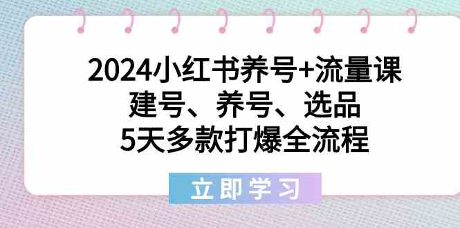 （8974期）2024小红书养号+流量课：建号、养号、选品，5天多款打爆全流程-副业库